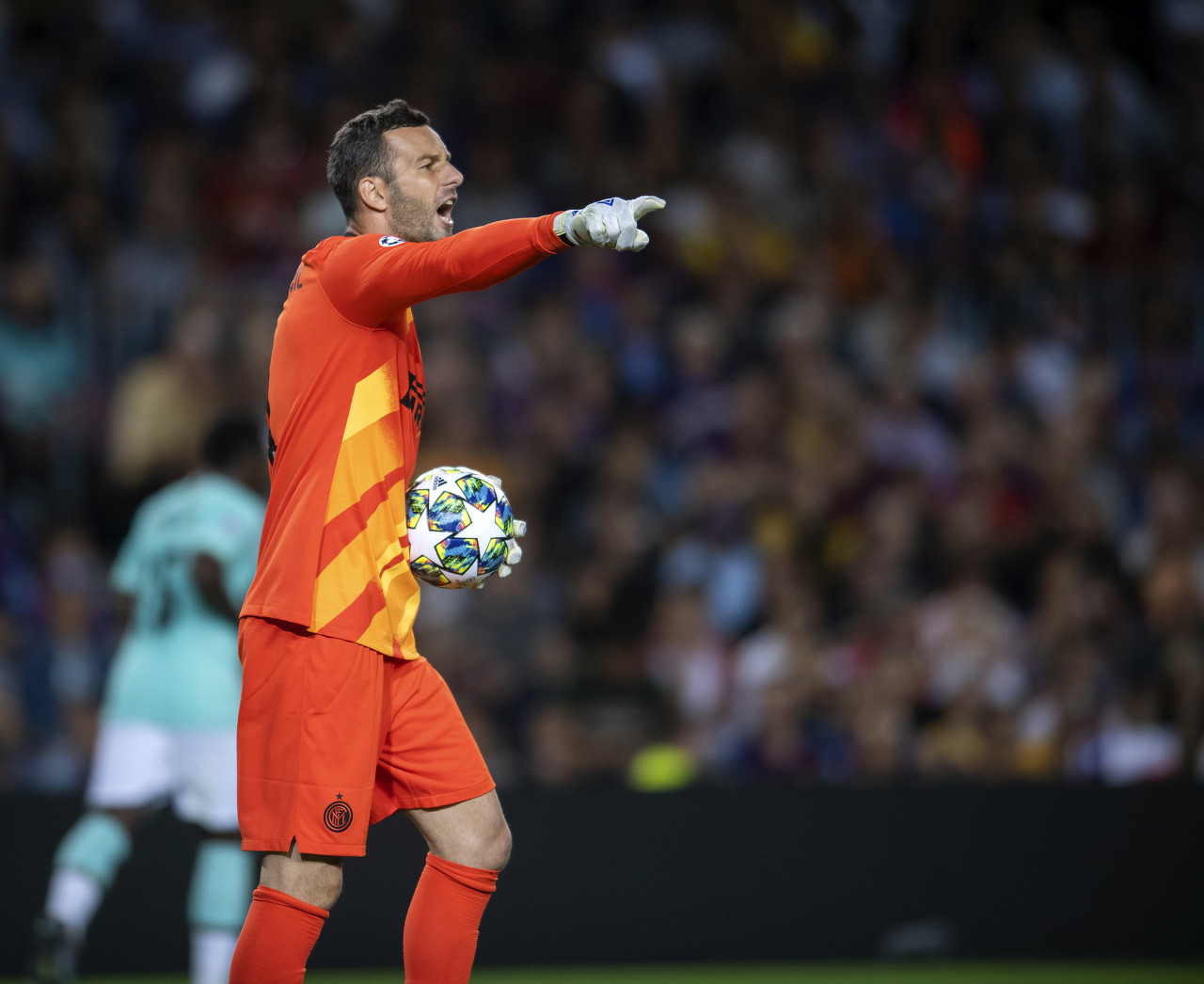 夺得多次欧 夺得多次欧